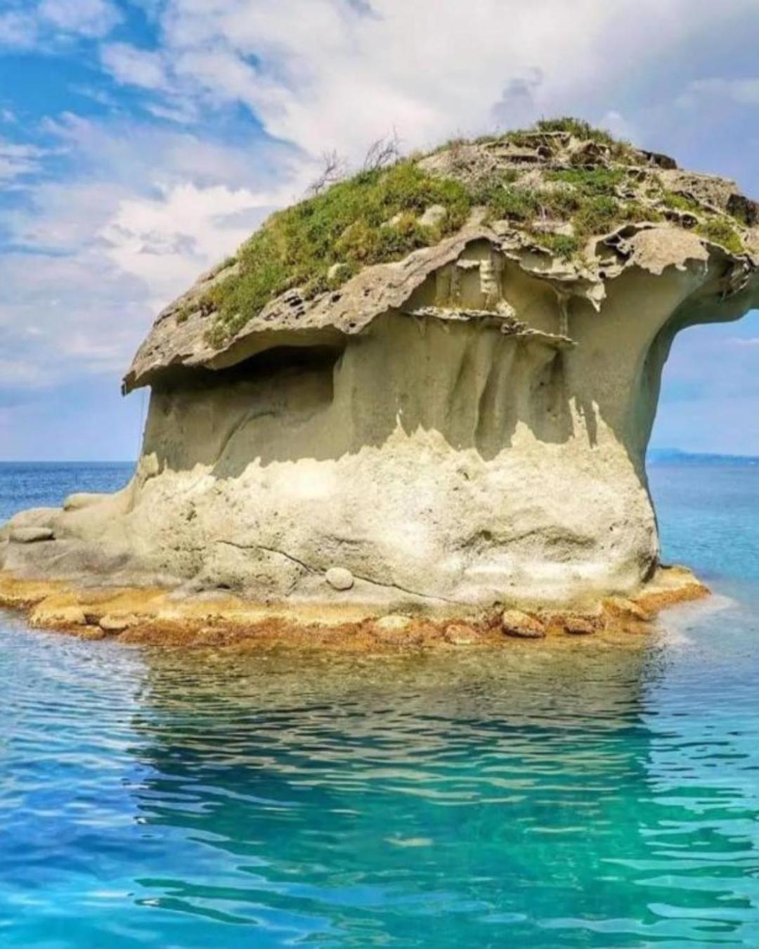 Il Fungo Di Lacco Lacco Ameno  Exteriér fotografie